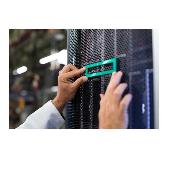 Hp Hpe ML110 GEN11 NS204I-U Enable Kit P61742-B21 - immagine 1
