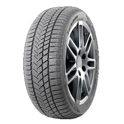 Autogreen Winter-Max A1-WL5 205/50 R17 93V - immagine 1
