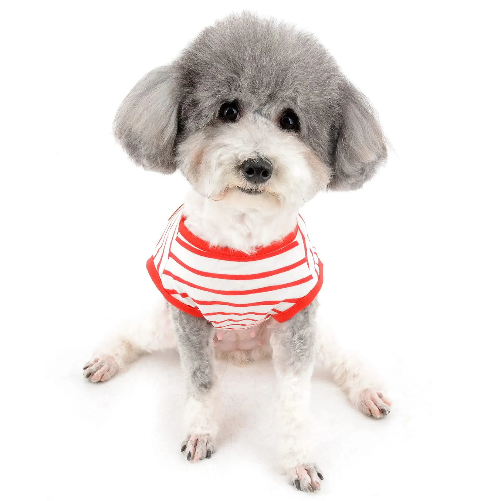 Zunea Maglietta Estate per Cani Piccola Taglia Vestiti a Righe Traspirante in Morbido Cotone per Animali Domestici Cuccioli Gatti Canotta Senza Maniche Chihuahua Tee Shirt Abbigliamento Rosso L - immagine 8