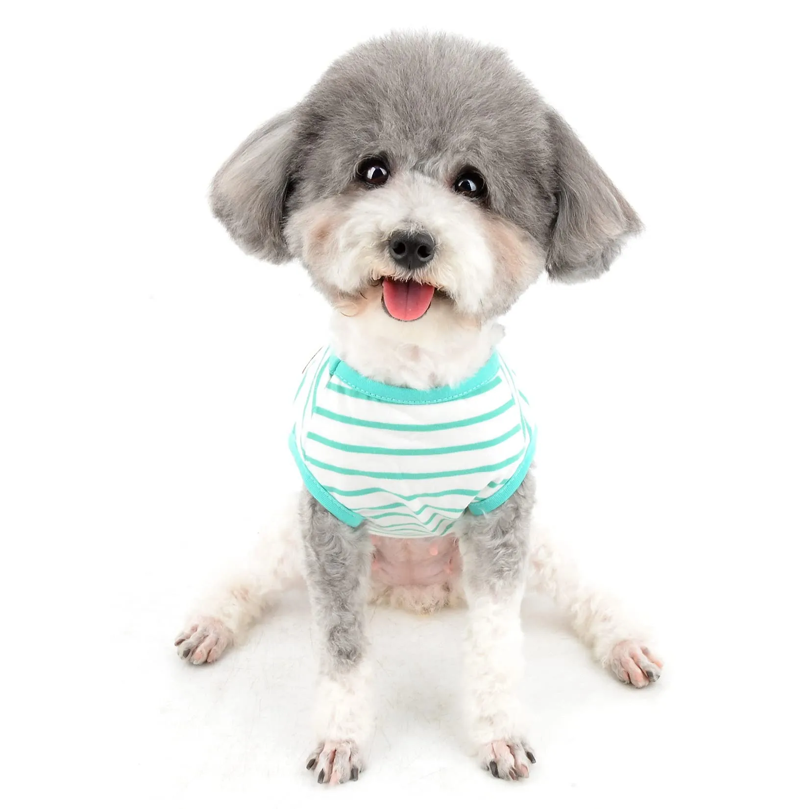Zunea Maglietta Estate per Cani Piccola Taglia Vestiti a Righe Traspirante in Morbido Cotone per Animali Domestici Cuccioli Gatti Canotta Senza Maniche Chihuahua Tee Shirt Abbigliamento Verde S - immagine 7