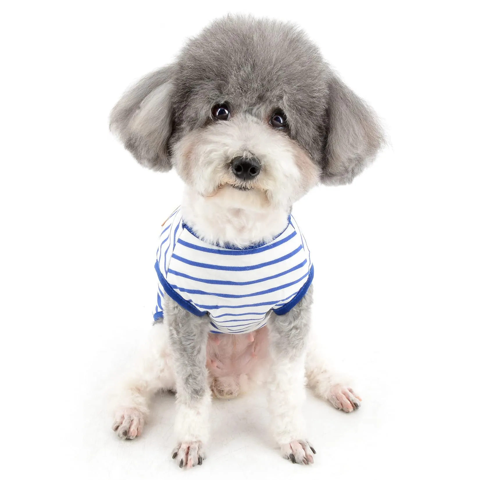 Zunea Maglietta Estate per Cani Piccola Taglia Vestiti a Righe Traspirante in Morbido Cotone per Animali Domestici Cuccioli Gatti Canotta Senza Maniche Chihuahua Tee Shirt Abbigliamento Blu M - immagine 8