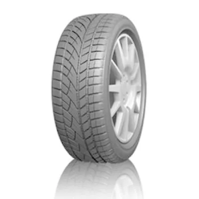 Evergreen EW66 205/55 R17 95H - immagine 1