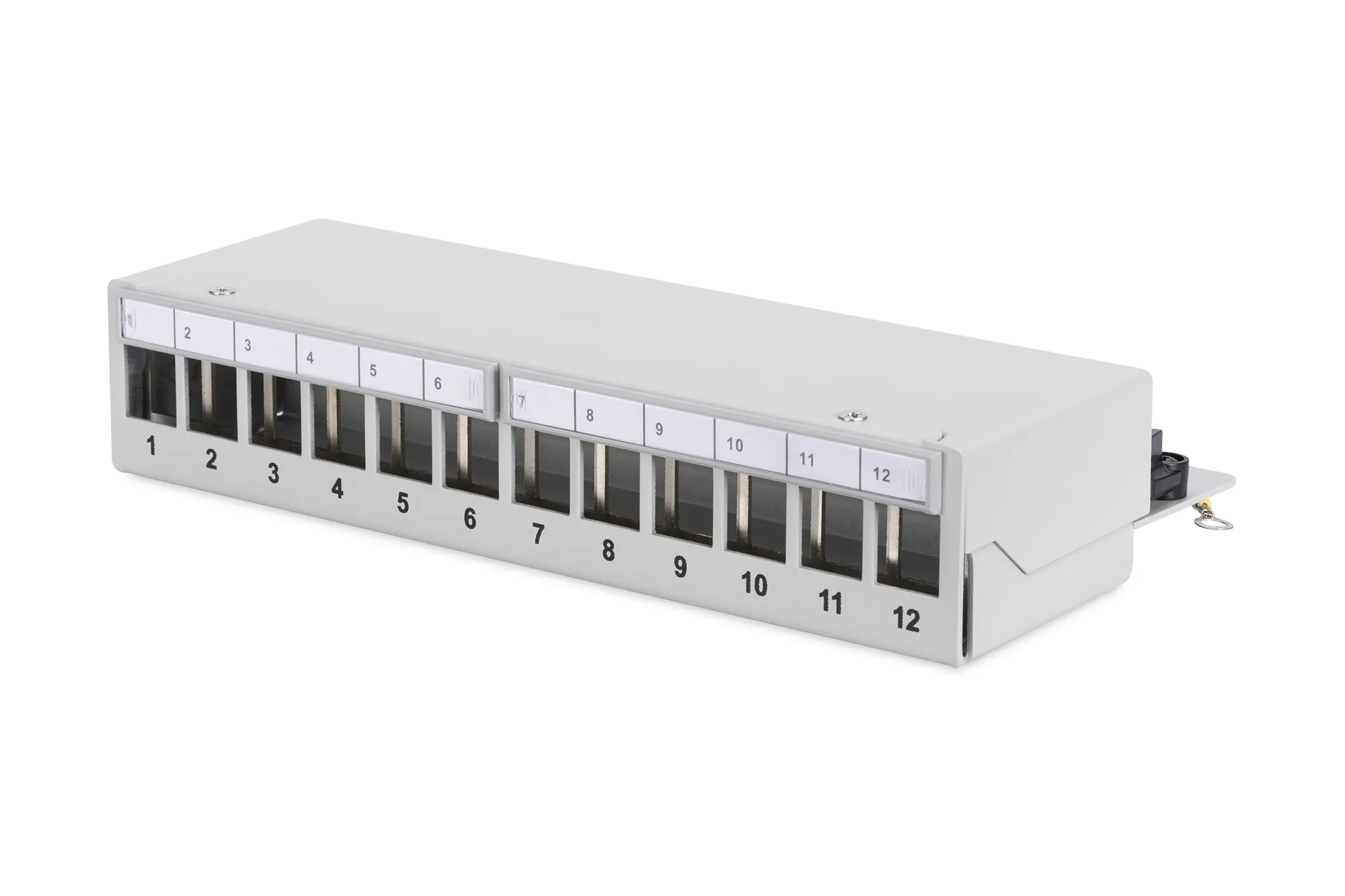 Patch Panel 12 Porte Da Tavolo Schermato Digitus - immagine 1