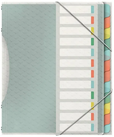 Classificatore Colour'Breeze Esselte con 12 Schede Multicolor - Per Formato A4 - 3 Alette sul Retro - Polipropilene Goffrato - Chiusura con Gomma Elastica - Colore Traslucido - immagine 1