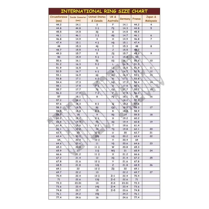 Labradorite Anello placcato argento gioiello ideale T1085BN4_50 (15.9) - immagine 3