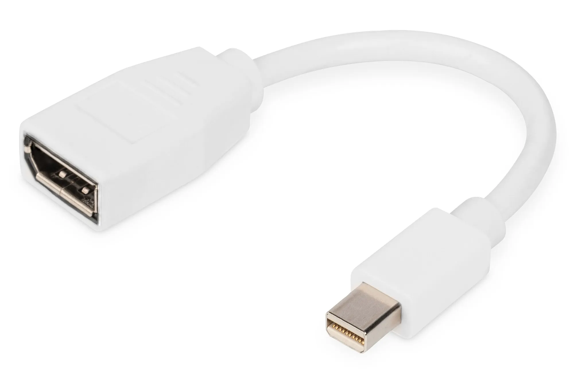 Digitus Cavo Adattatore Displayport Mini Dp - Dp - immagine 1