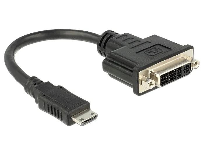Adattatore Hdmi Mini C Maschio - Dvi 24+5 Femmina 20 Cm Delock - immagine 1