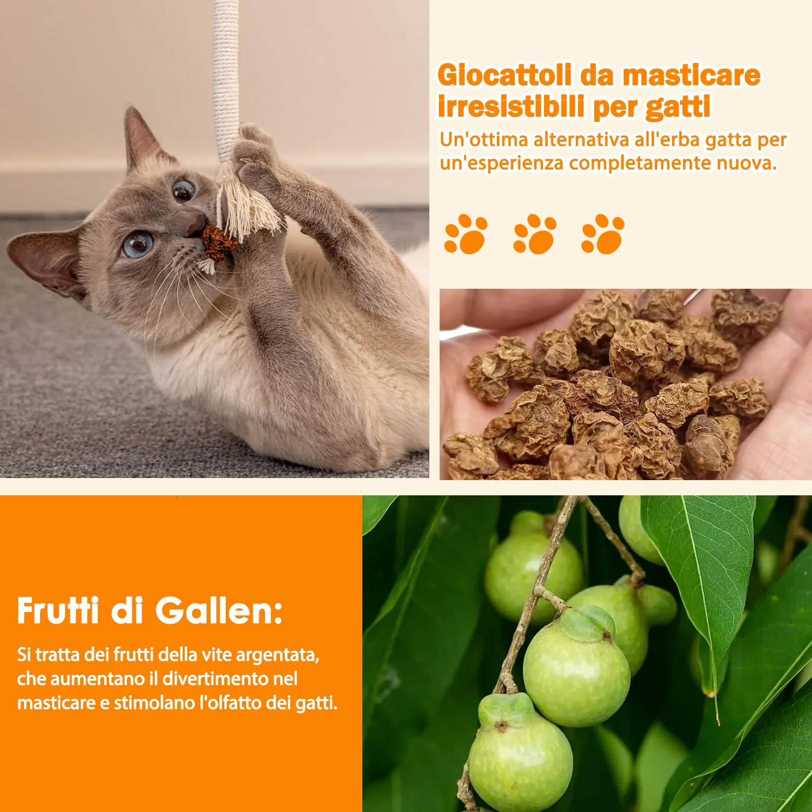 Nepfaivy Set Misto di Giochi per Gatti, Giocattoli per Gatti per la Pulizia dei Denti - immagine 2