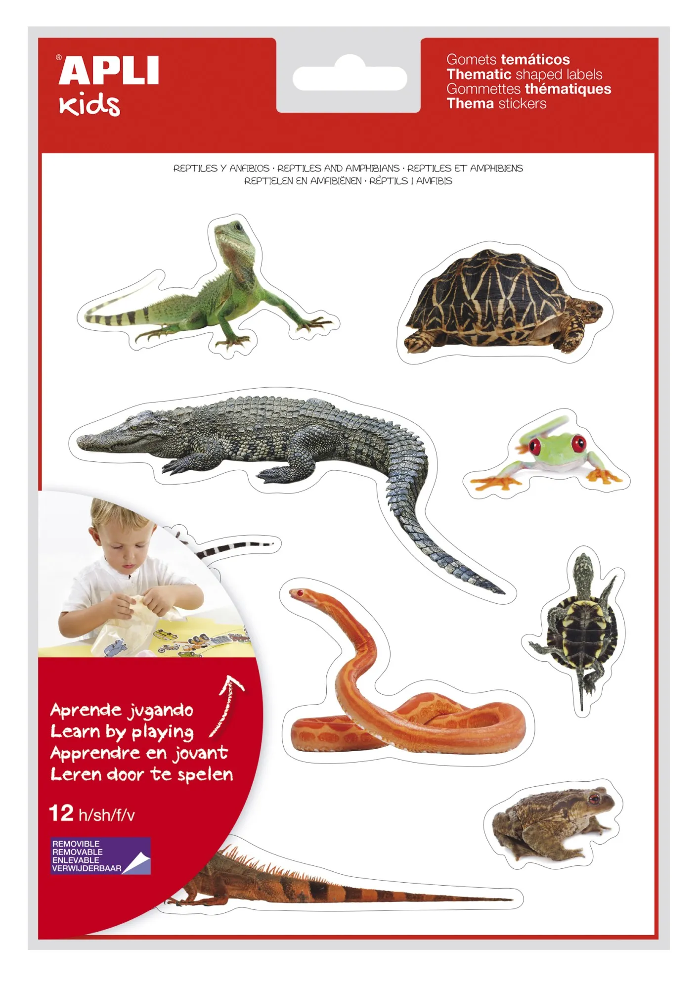 Apli Gomet Realistici a Tema Rettili e Anfibi - 120 Gomet - Immagini Realistiche per Mettere in Relazione gli Animali - Adesivo Removibile - Ideale per le Scuole - Riciclabile - Colorato - immagine 1