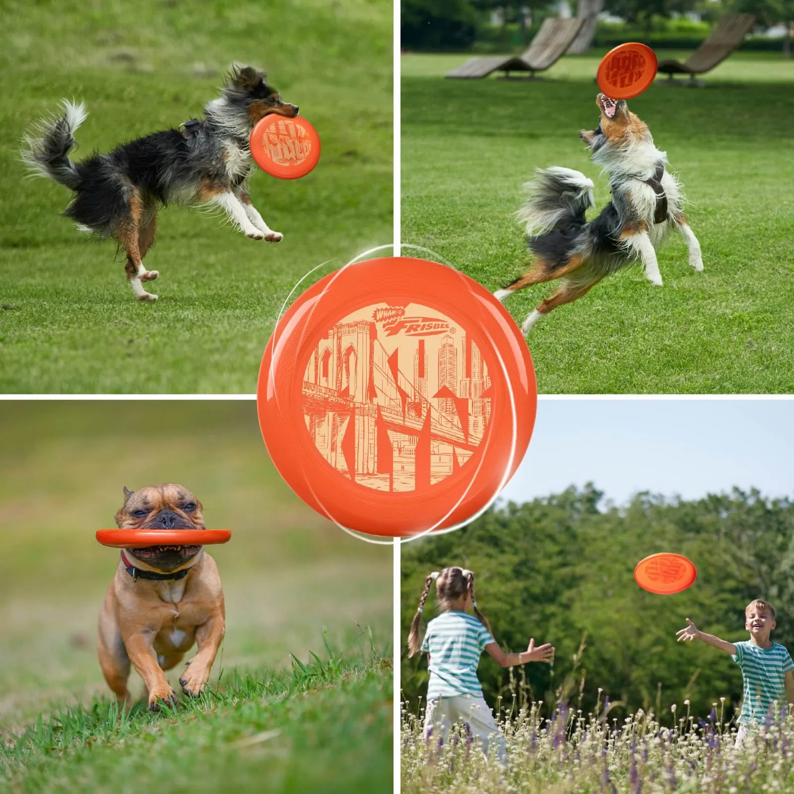 Wham-O Frisbee Disco Volante, 25.27 cm Giocattolo Leggero per Bambini Adolescenti Ragazzi e Ragazze dai 5+ Anni, Gioco per Spiaggia Parco e Giardino - 130g (53255-V1) - immagine 7