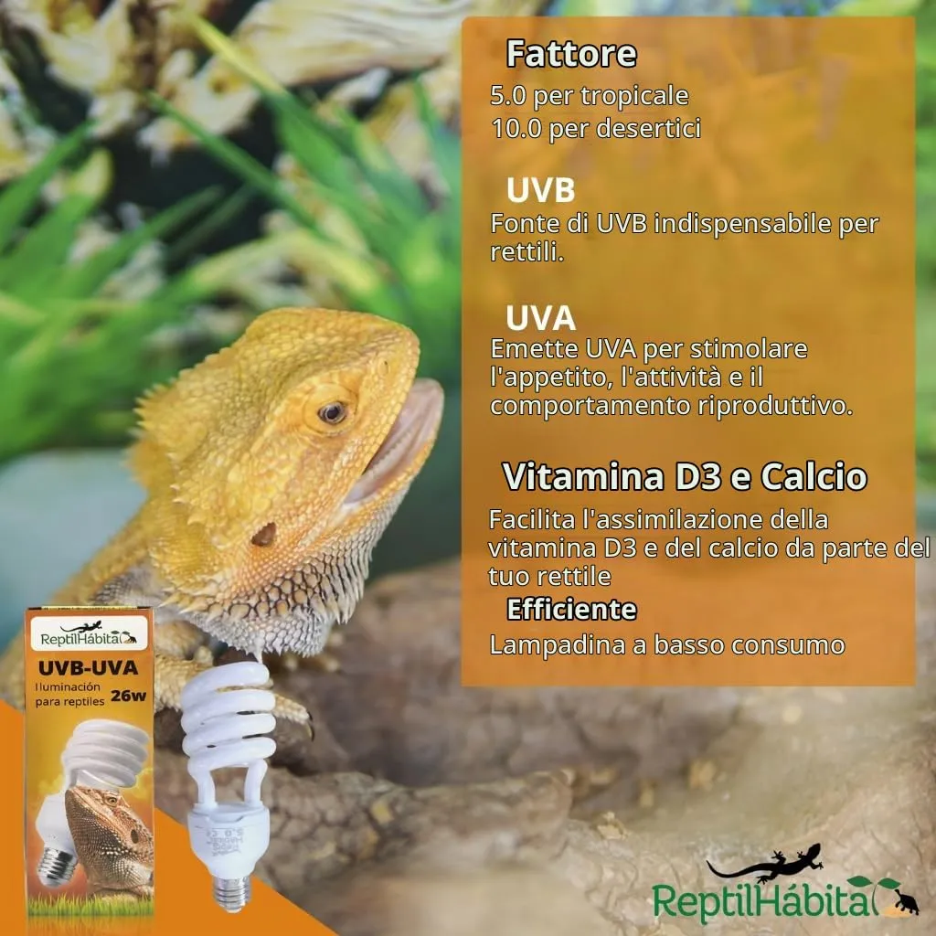 ReptilHábitat Lampada UVB 10.0 UVA 13W per Terrario di rettili, piante e tartarughe, Lampadina E27 Ideale per Tartarughe e Pogona - immagine 3