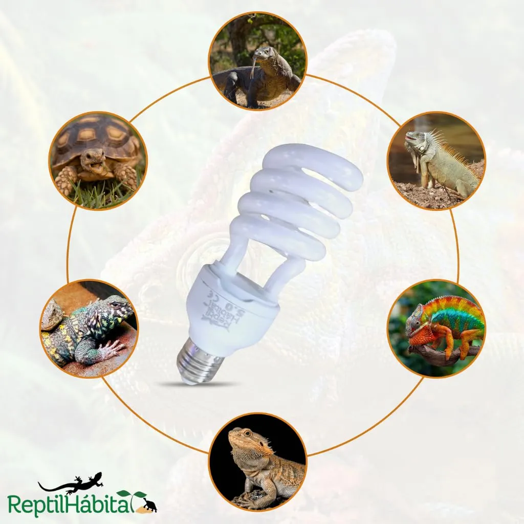 ReptilHábitat Lampada UVB 10.0 UVA 13W per Terrario di rettili, piante e tartarughe, Lampadina E27 Ideale per Tartarughe e Pogona - immagine 4