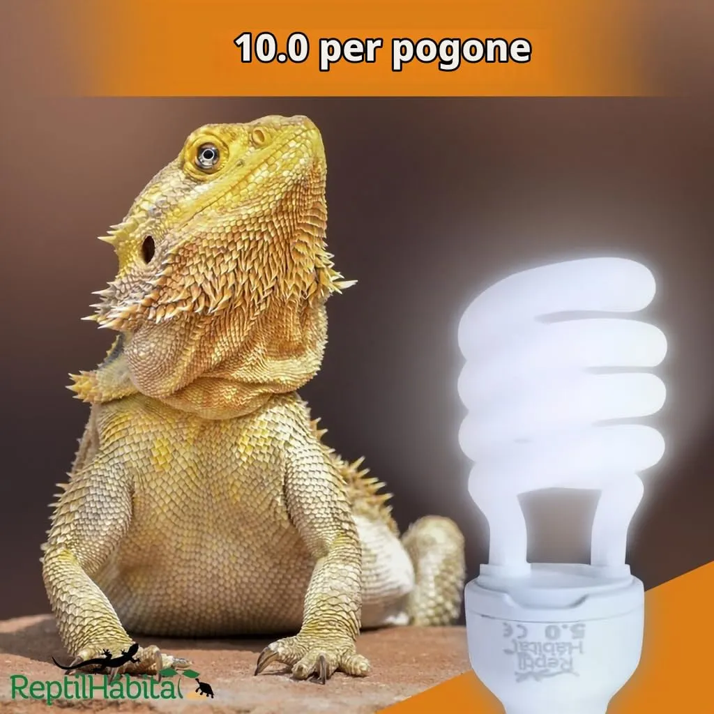ReptilHábitat Lampada UVB 10.0 UVA 13W per Terrario di rettili, piante e tartarughe, Lampadina E27 Ideale per Tartarughe e Pogona - immagine 5