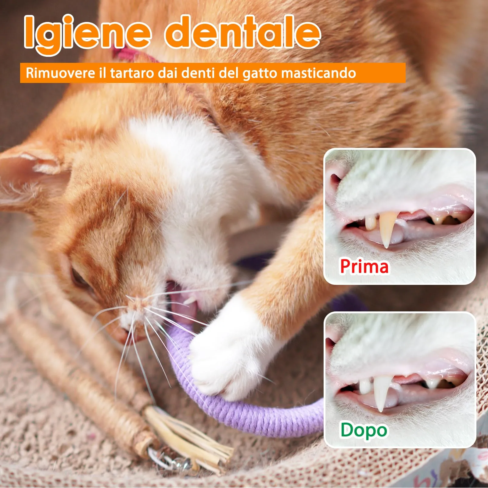 Nepfaivy Set Misto di Giochi per Gatti, Giocattoli per Gatti per la Pulizia dei Denti - immagine 3