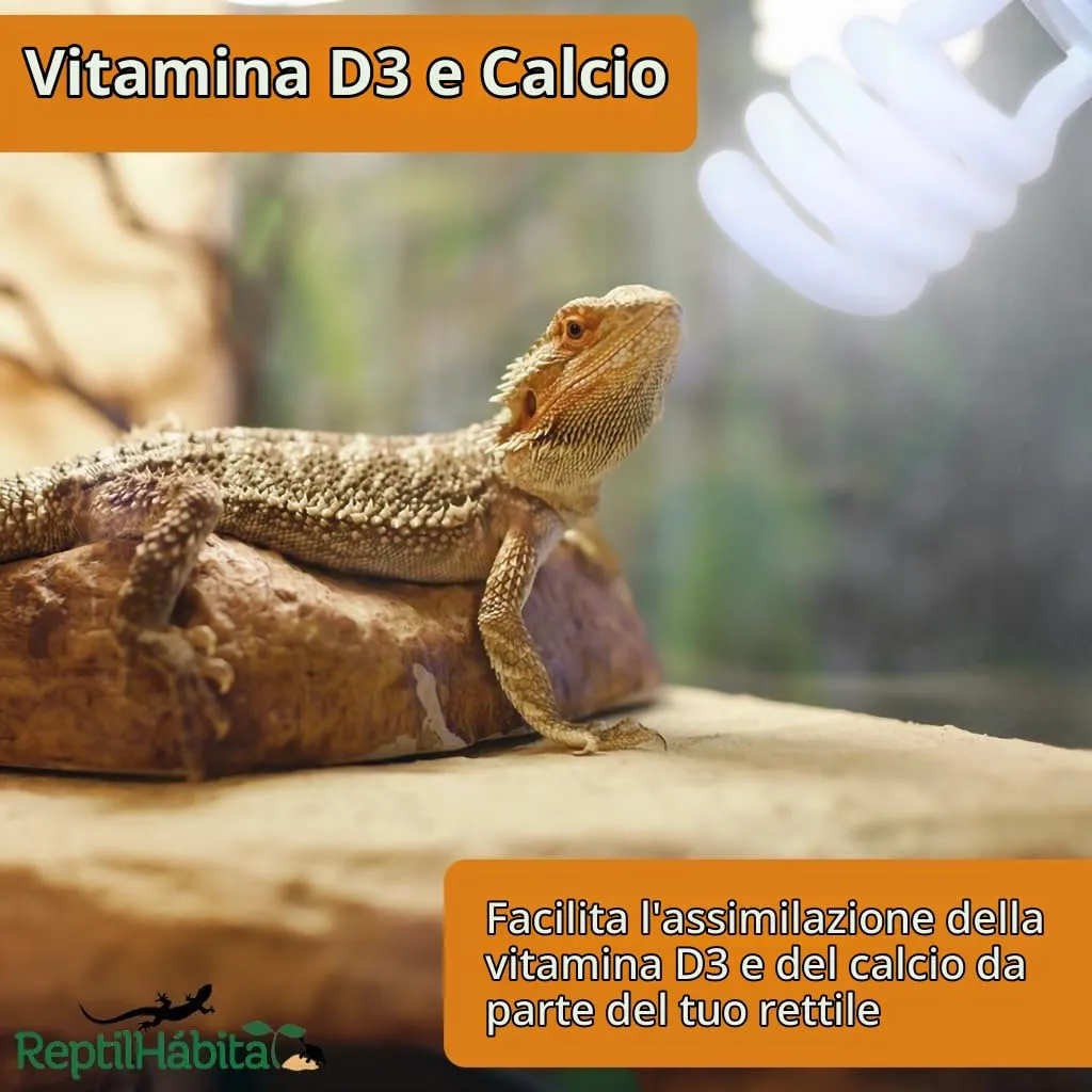 ReptilHábitat Lampada UVB 5.0 UVA 13W per Terrario di rettili, piante e tartarughe, Lampadina E27 Ideale per Tartarughe e Pogona - immagine 6