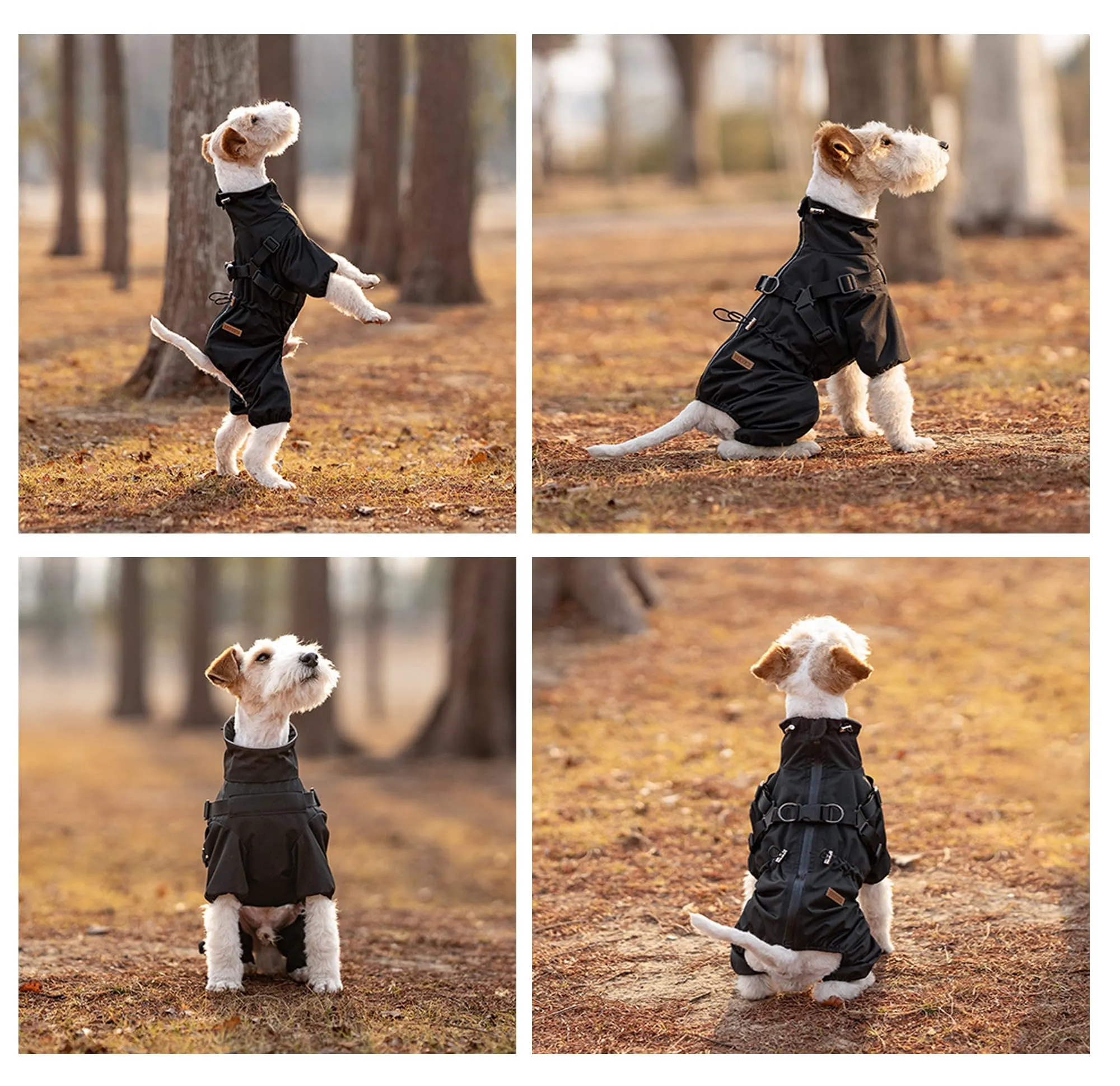Giacca Antipioggia per Cani BT Bear, Giubbotto Regolabile a 4 Zampe con Imbracatura, Tuta Riflettente, Cappotto Impermeabile per Cani Piccoli, Nero, L - immagine 8