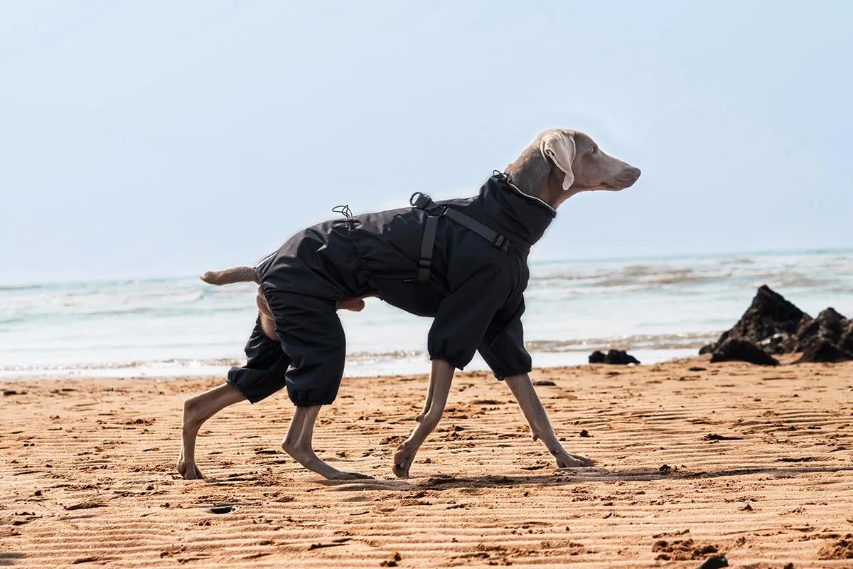 BT Bear Pettorina impermeabile per cani, regolabile a 4 gambe, con imbracatura riflettente, impermeabile, per cani di taglia media e grande, nero, 5XL - immagine 7