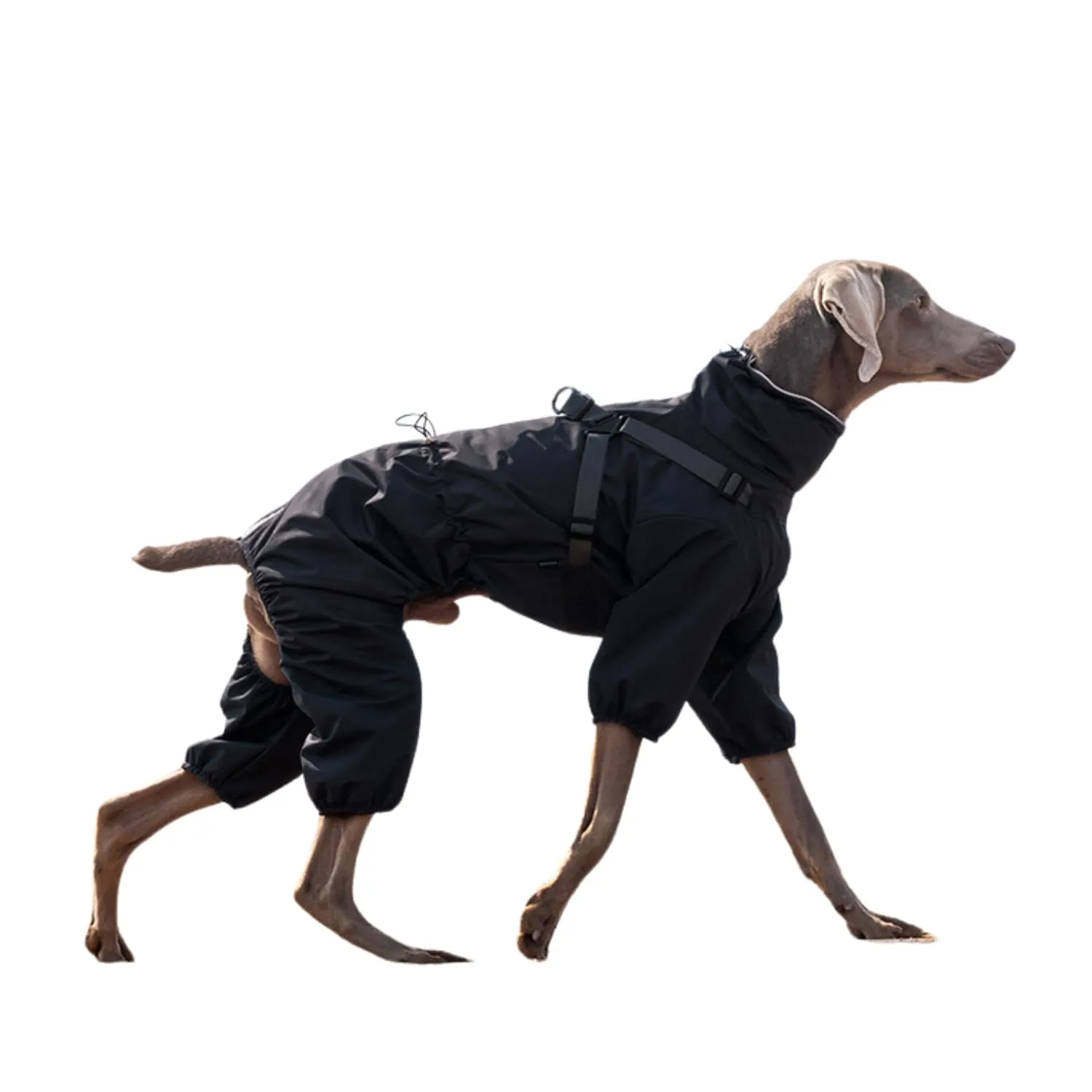 BT Bear Impermeabile con Pettorina per Cani, Giacca Regolabile a 4 Zampe per Cani con Pettorina Tuta Riflettente Impermeabile per Cani di Taglia Media e Grande, Nero 6XL - immagine 2