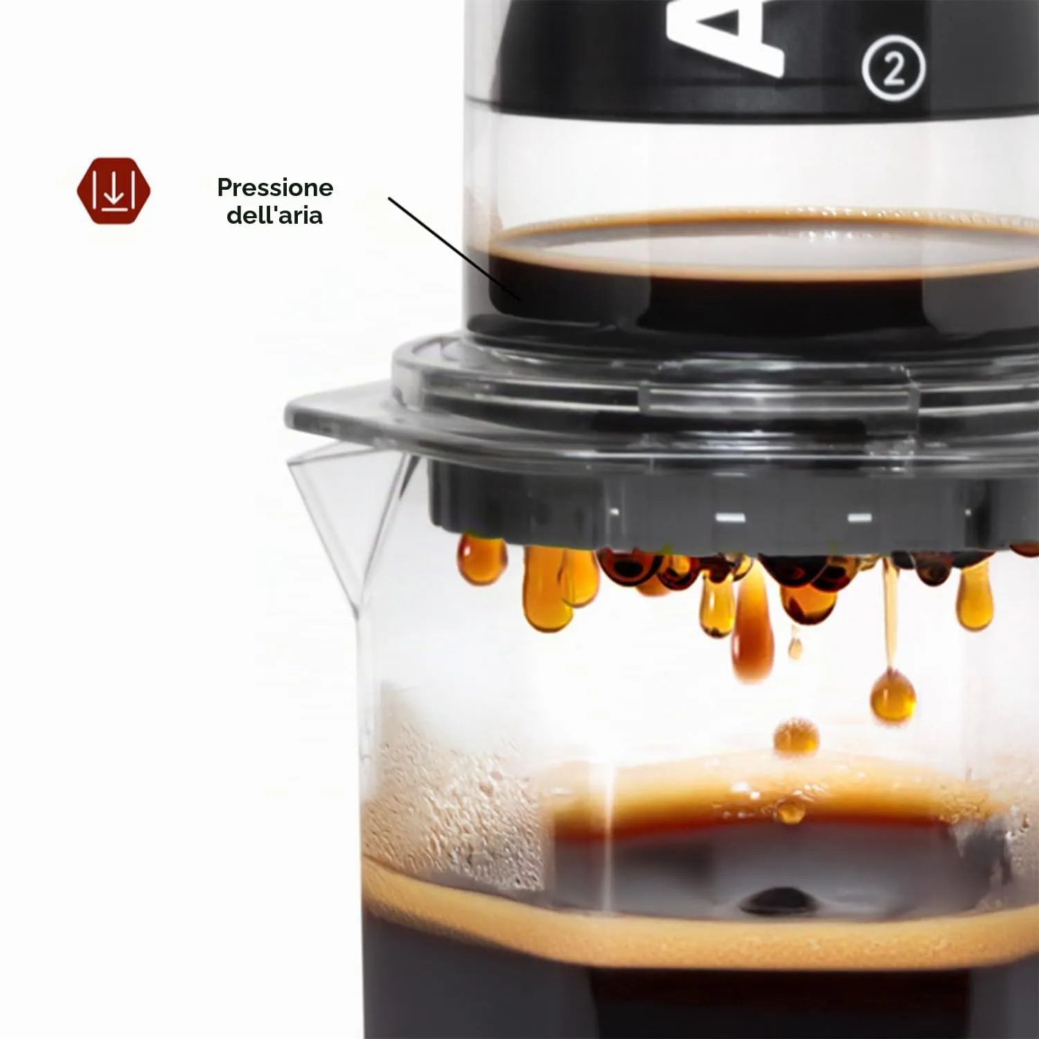 AeroPress Clear XL Coffee Press, grande French Press tutto-in-uno, macchina da caffè manuale stile espresso e pour-over, pronta in 2 minuti, portatile per viaggio e campeggio - immagine 4