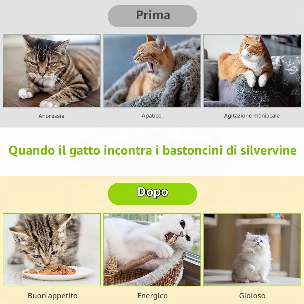 OSDUE Bastoncini Cura Denti per Gatti, 21Pz Dental Stick, Giocattolo di Erba Gatta Matatabi Stick Contro Alito Cattivo per Dental Care Pratica Bastoncini da Masticare Naturale, con 6 Frutta Erba Gatta - immagine 4