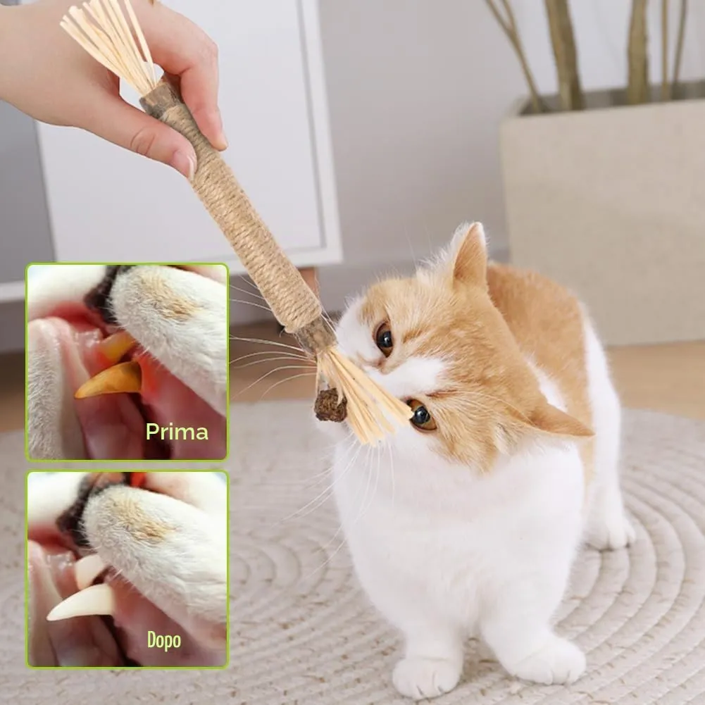 OSDUE Bastoncini Cura Denti per Gatti, 21Pz Dental Stick, Giocattolo di Erba Gatta Matatabi Stick Contro Alito Cattivo per Dental Care Pratica Bastoncini da Masticare Naturale, con 6 Frutta Erba Gatta - immagine 6