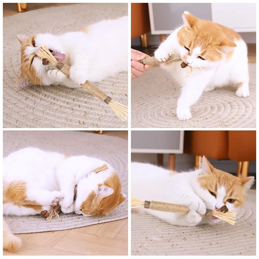 OSDUE Bastoncini Cura Denti per Gatti, 21Pz Dental Stick, Giocattolo di Erba Gatta Matatabi Stick Contro Alito Cattivo per Dental Care Pratica Bastoncini da Masticare Naturale, con 6 Frutta Erba Gatta - immagine 7