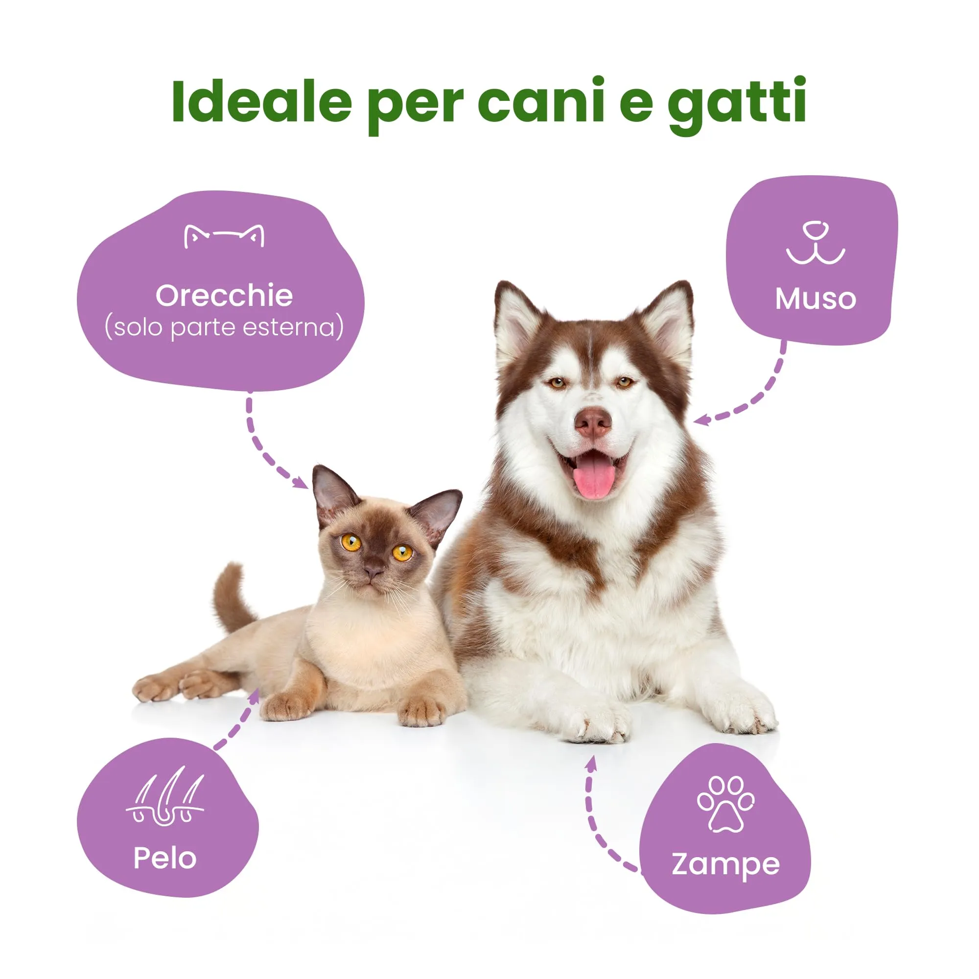 CAMON - Salviette Detergenti per Cani e Gatti, 30x20 cm, Made in Italy - immagine 3