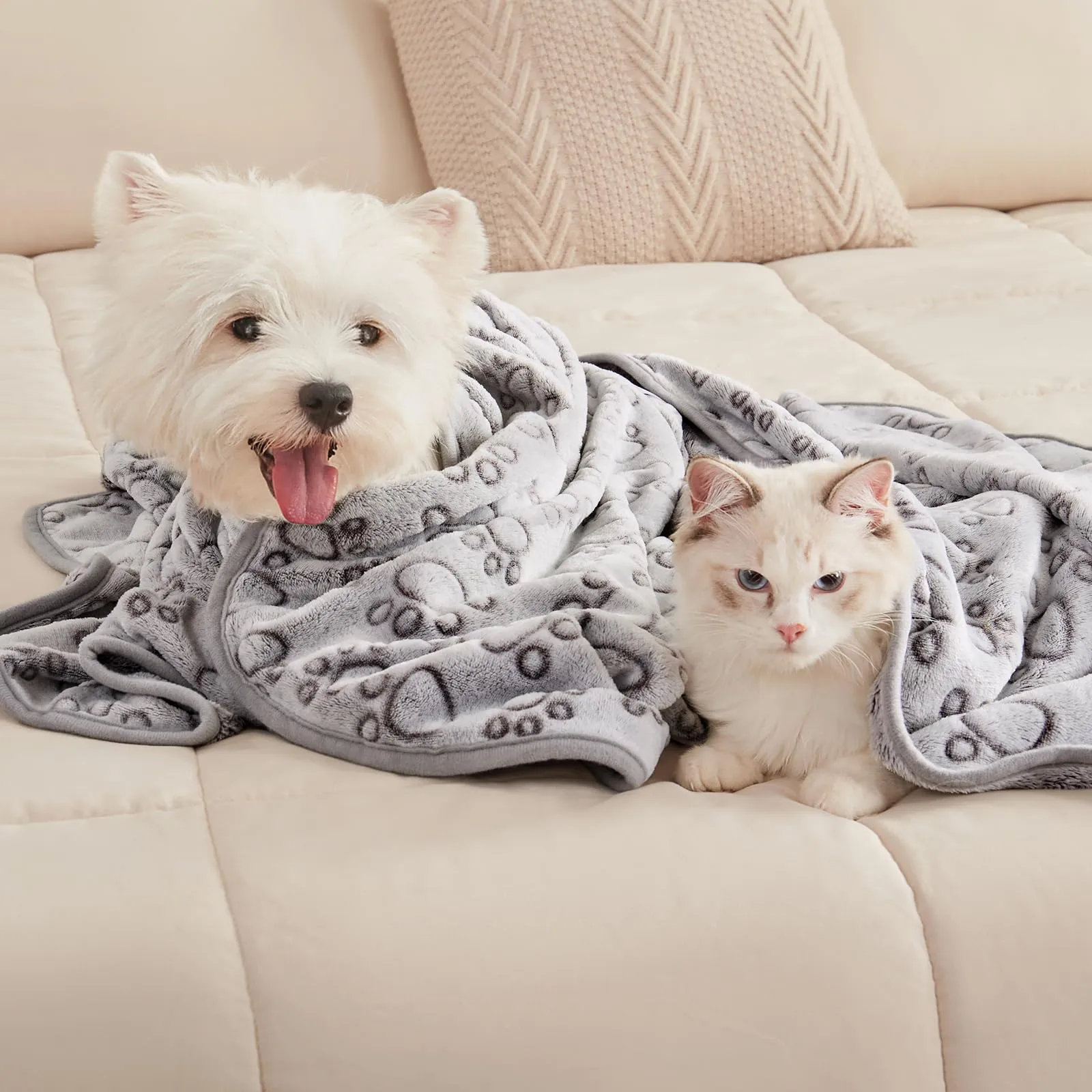 luciphia 3 Pezzi Coperta per Cane/Gatto Lavabile Soffice Durevole, Morbida e Calda Flanella,Amore Zampa,Medium (76 * 52cm) - immagine 5