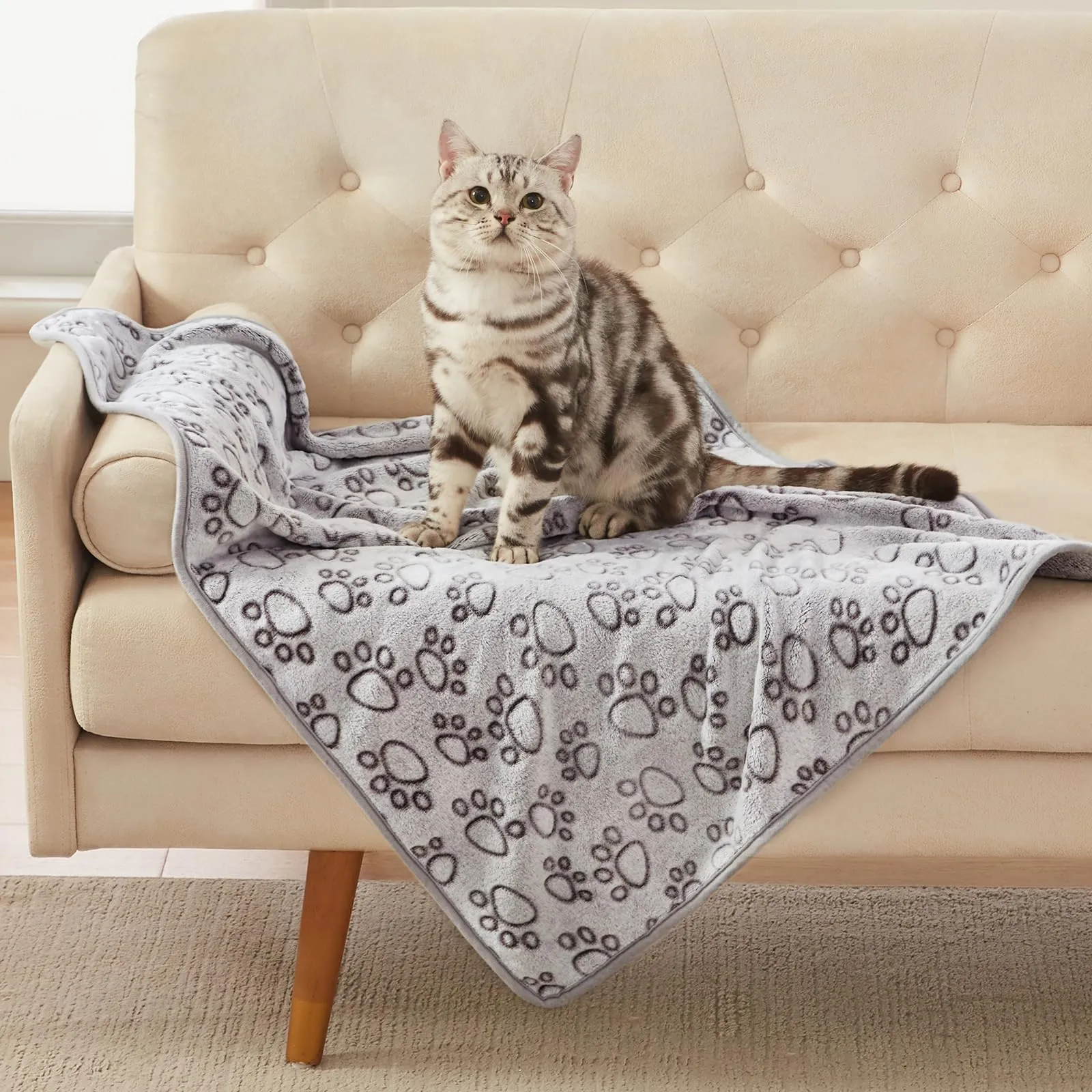 luciphia 3 Pezzi Coperta per Cane/Gatto Lavabile Soffice Durevole, Morbida e Calda Flanella,Amore Zampa,Large (104 * 76cm) - immagine 7