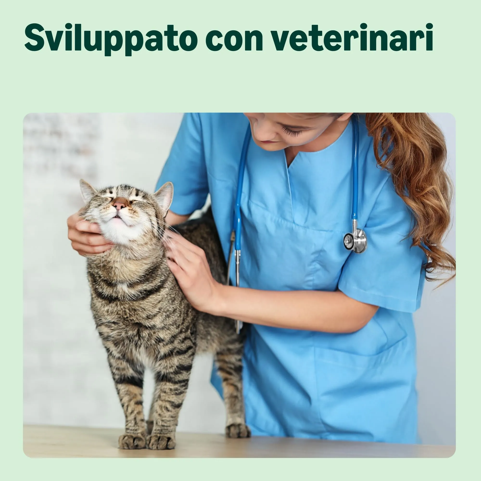 by Amazon Cibo secco completo per gatti adulti, ricco di pollo e riso, 3 kg - immagine 3