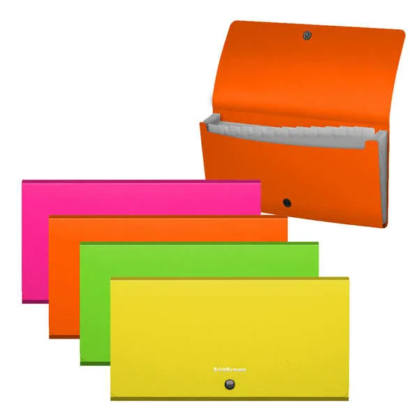 Cartelle portadocumenti Erichkrause Matt Neon - 12 buste - Verifica la dimensione - Colori assortiti - immagine 1