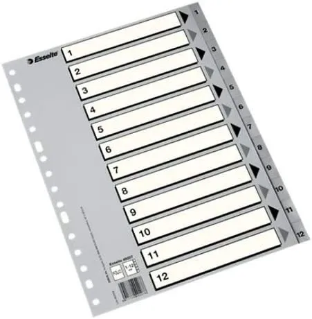 Esselte 50 Indici Numerici in Plastica - Schede da 1 a 12 - Multiforo - Formato Folio - Colore Grigio - immagine 1