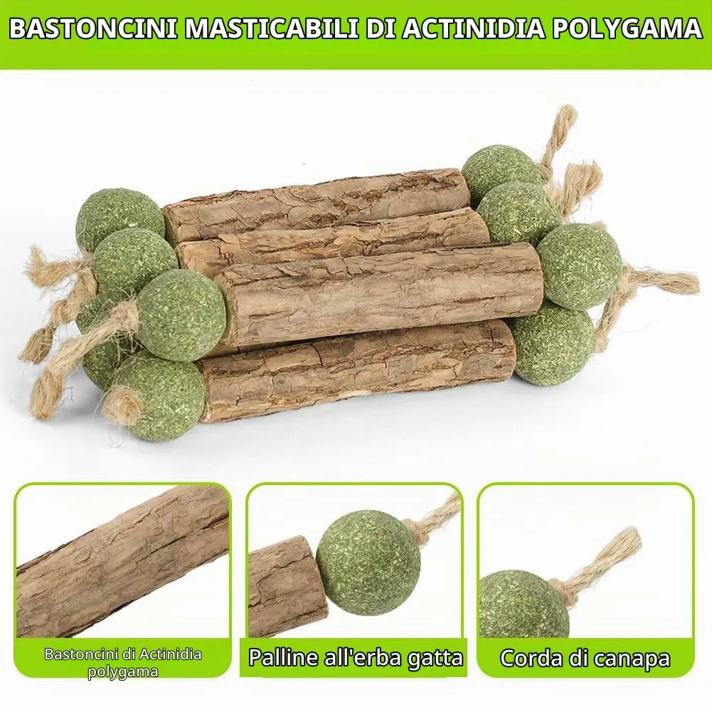 OSDUE Bastoncini Cura Denti per Gatti, 6Pz Dental Stick, Giocattolo di Erba Gatta Matatabi Stick Contro Alito Cattivo per Dental Care Pratica Bastoncini da Masticare Naturale 12Palline di liofilizzate - immagine 3
