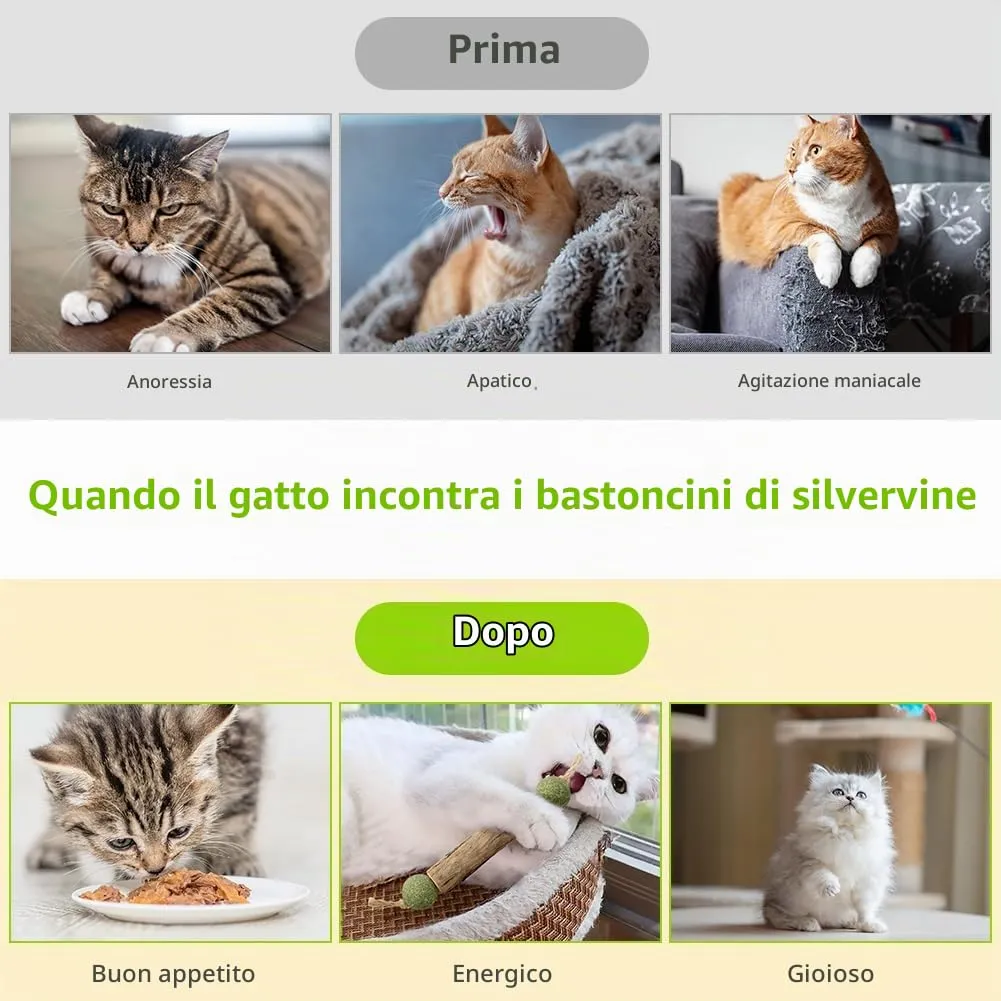 OSDUE Bastoncini Cura Denti per Gatti, 6Pz Dental Stick, Giocattolo di Erba Gatta Matatabi Stick Contro Alito Cattivo per Dental Care Pratica Bastoncini da Masticare Naturale 12Palline di liofilizzate - immagine 4