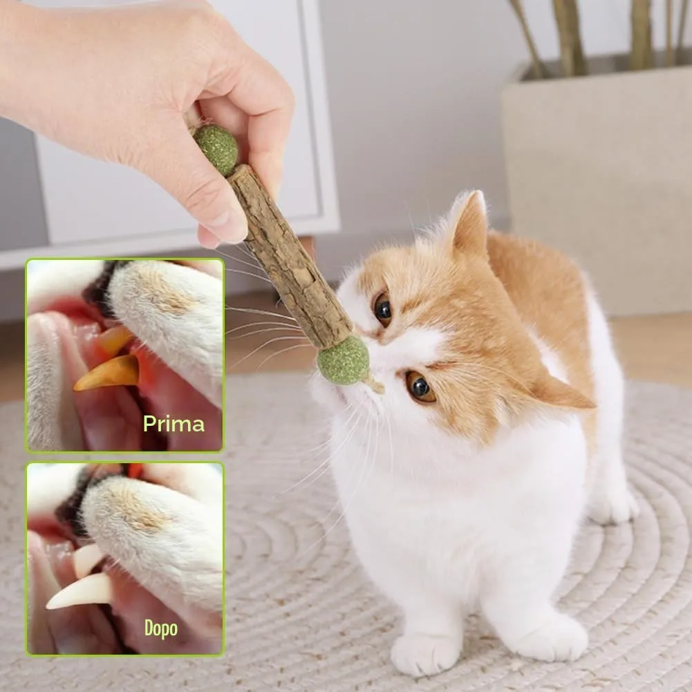OSDUE Bastoncini Cura Denti per Gatti, 6Pz Dental Stick, Giocattolo di Erba Gatta Matatabi Stick Contro Alito Cattivo per Dental Care Pratica Bastoncini da Masticare Naturale 12Palline di liofilizzate - immagine 6