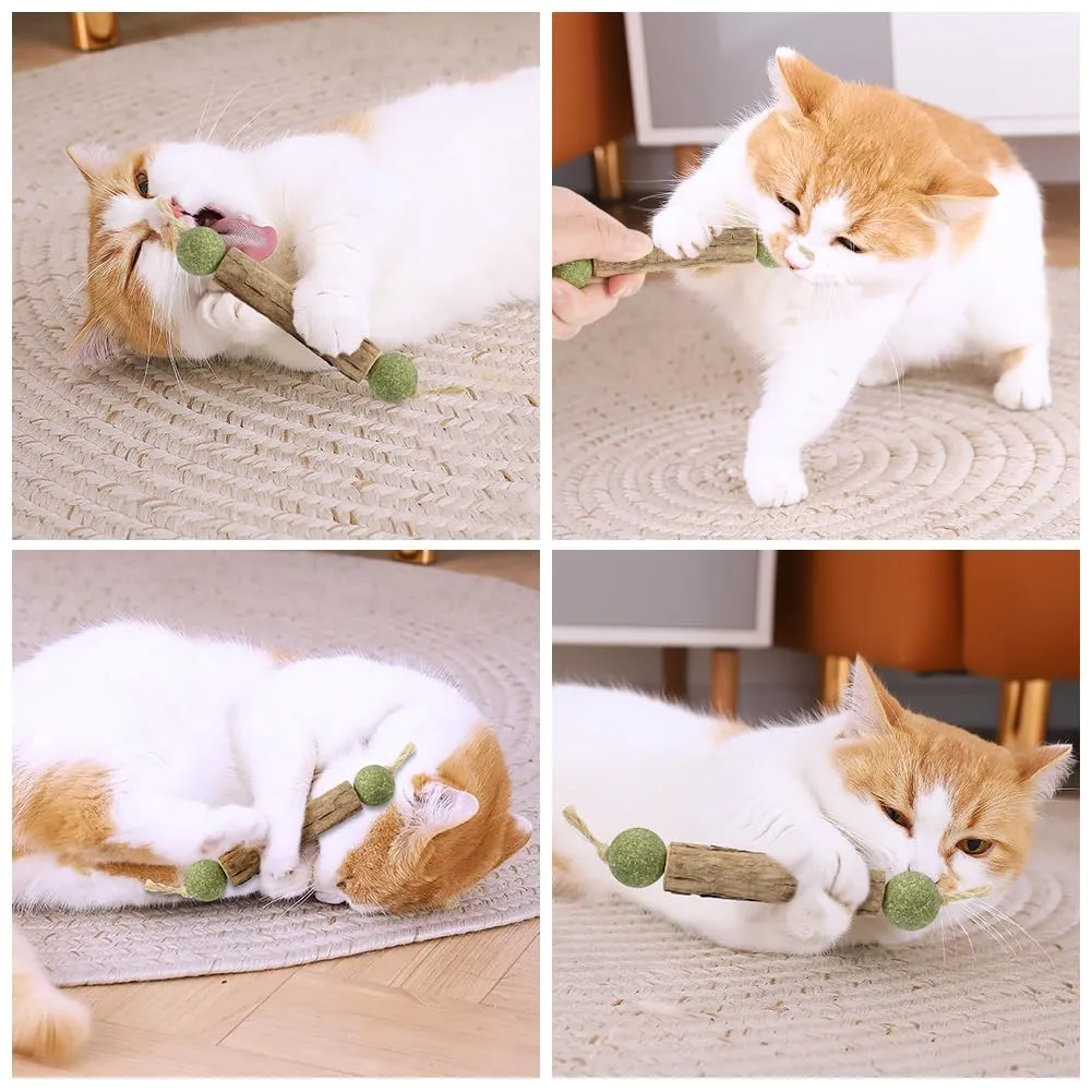 OSDUE Bastoncini Cura Denti per Gatti, 6Pz Dental Stick, Giocattolo di Erba Gatta Matatabi Stick Contro Alito Cattivo per Dental Care Pratica Bastoncini da Masticare Naturale 12Palline di liofilizzate - immagine 7