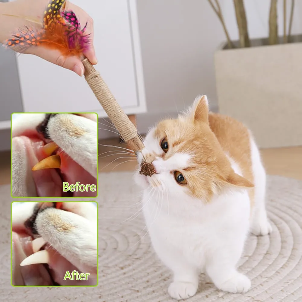 OSDUE Bastoncini Cura Denti per Gatti, 10 Pezzi Dental Stick, Giocattolo di Erba Gatta, Matatabi Stick Contro Alito Cattivo per Dental Care Pratica Bastoncini da Masticare Naturale con Piume - immagine 6