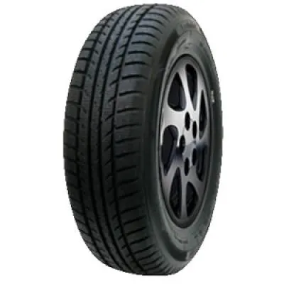 Minerva Polar Ice 1 225/60 R16 102V - immagine 1