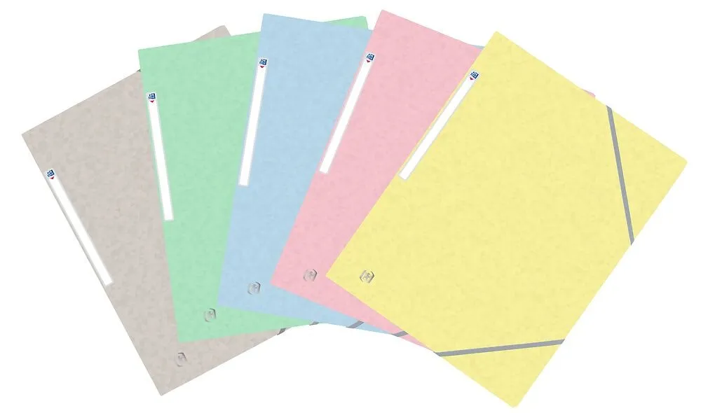 Oxford 400117805 cartella Cartoncino Blu Verde Grigio Giallo Rosa A4 - immagine 1
