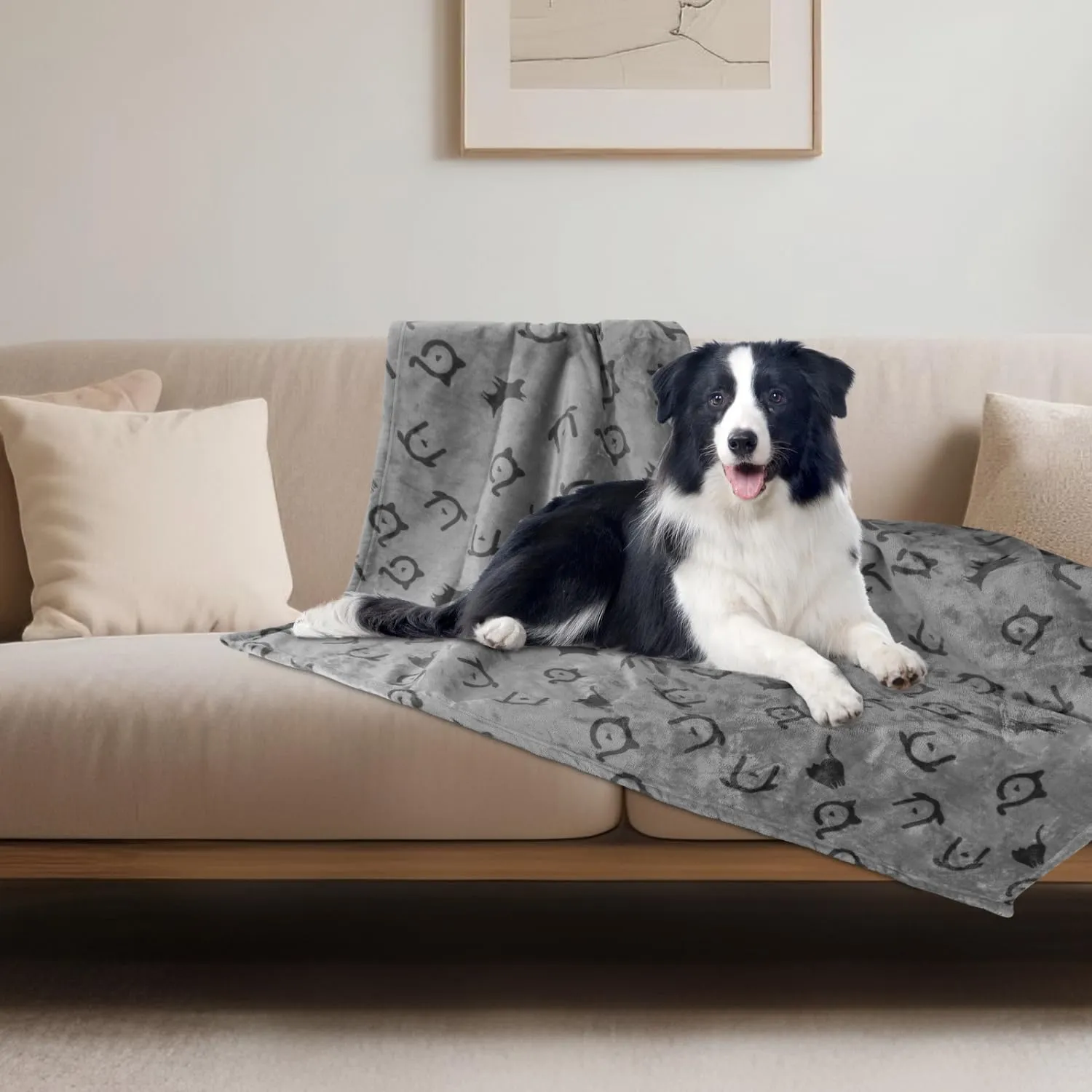 Nobleza Coperta Impermeabile per Cani, XL 152 x 127cm Coperta Morbida e Soffice per Cane, Lavatrice, Reversibile Protettore per Divano, Grigio Chiaro - immagine 9