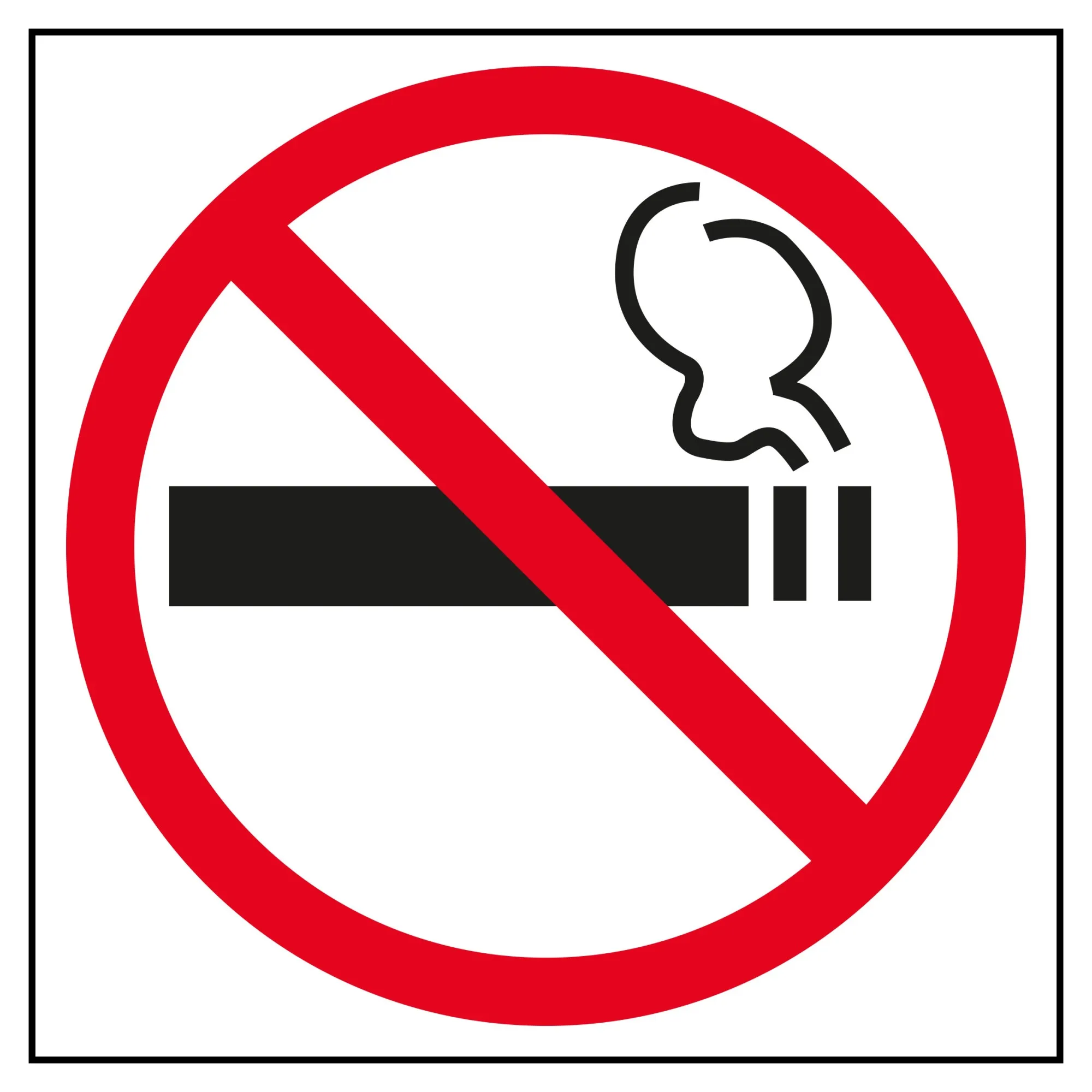 Etichetta segnaletica Apli No Smoking 1 U. - immagine 1