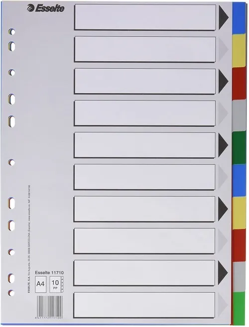 Esselte 713 Busta da 10 Divisori in Plastica - 10 Schede / 5 Colori - Multi-foro - Formato Folio - immagine 1
