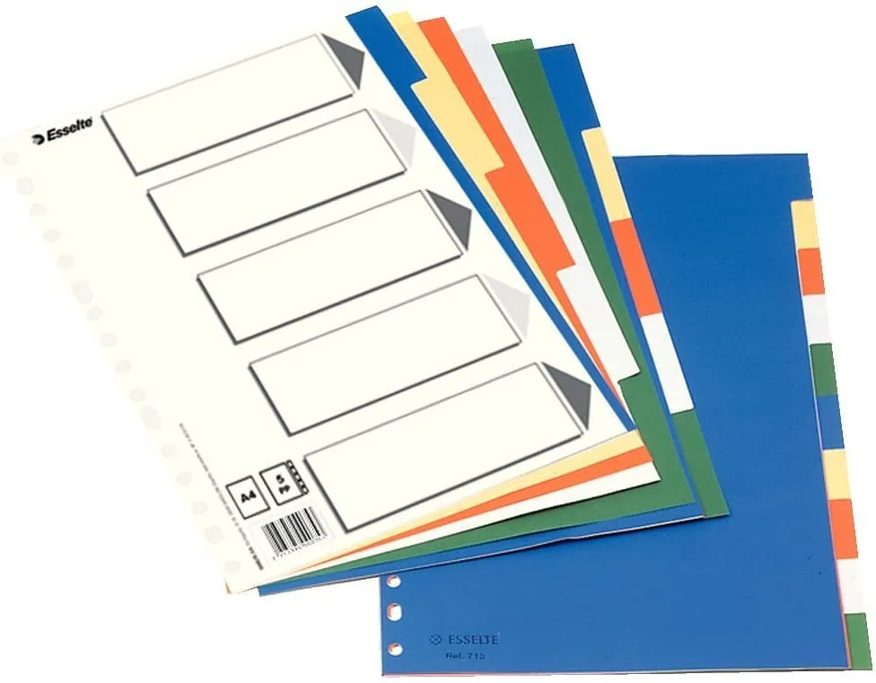 Esselte 613 Busta da 5 Divisori in Plastica - 5 Schede / 5 Colori - Multi-foro - Formato Folio - immagine 1
