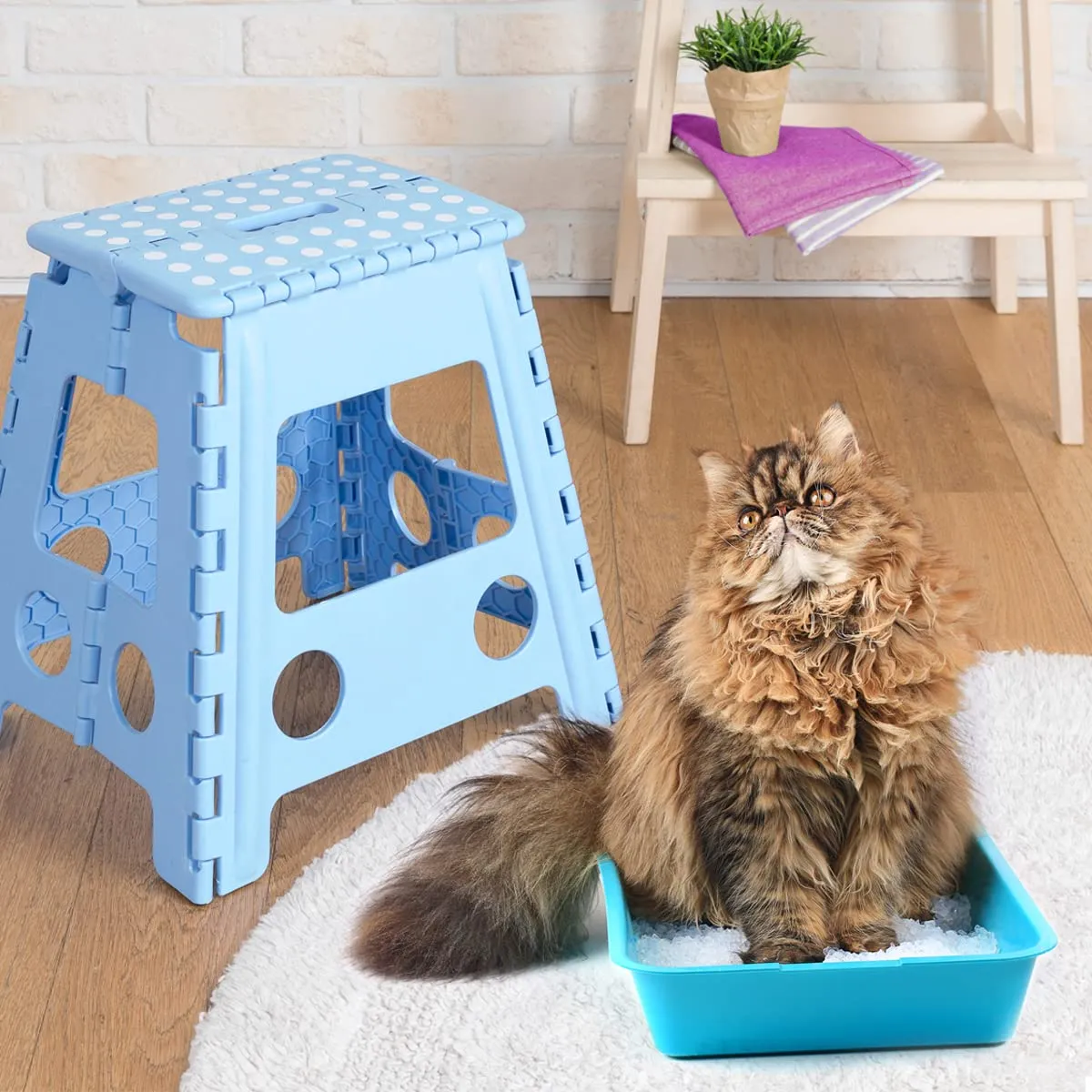Best Friend - Lettiera per Gatti ai Cristalli di Silice da 16L. Sabbia Priva di Polvere, Delicata per le zampe e Super Assorbente, Maxi Formato - immagine 3