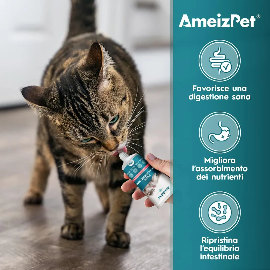 AmeizPet Pasta Digestiva per Gatti, Supporto Gastrointestinale, 100g - immagine 2