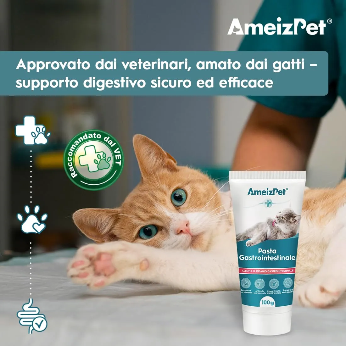 AmeizPet Pasta Digestiva per Gatti, Supporto Gastrointestinale, 100g - immagine 3