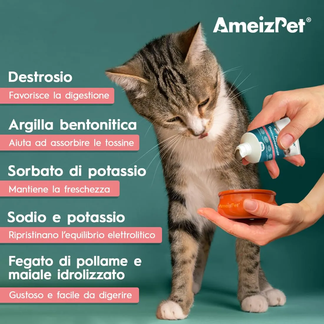 AmeizPet Pasta Digestiva per Gatti, Supporto Gastrointestinale, 100g - immagine 4