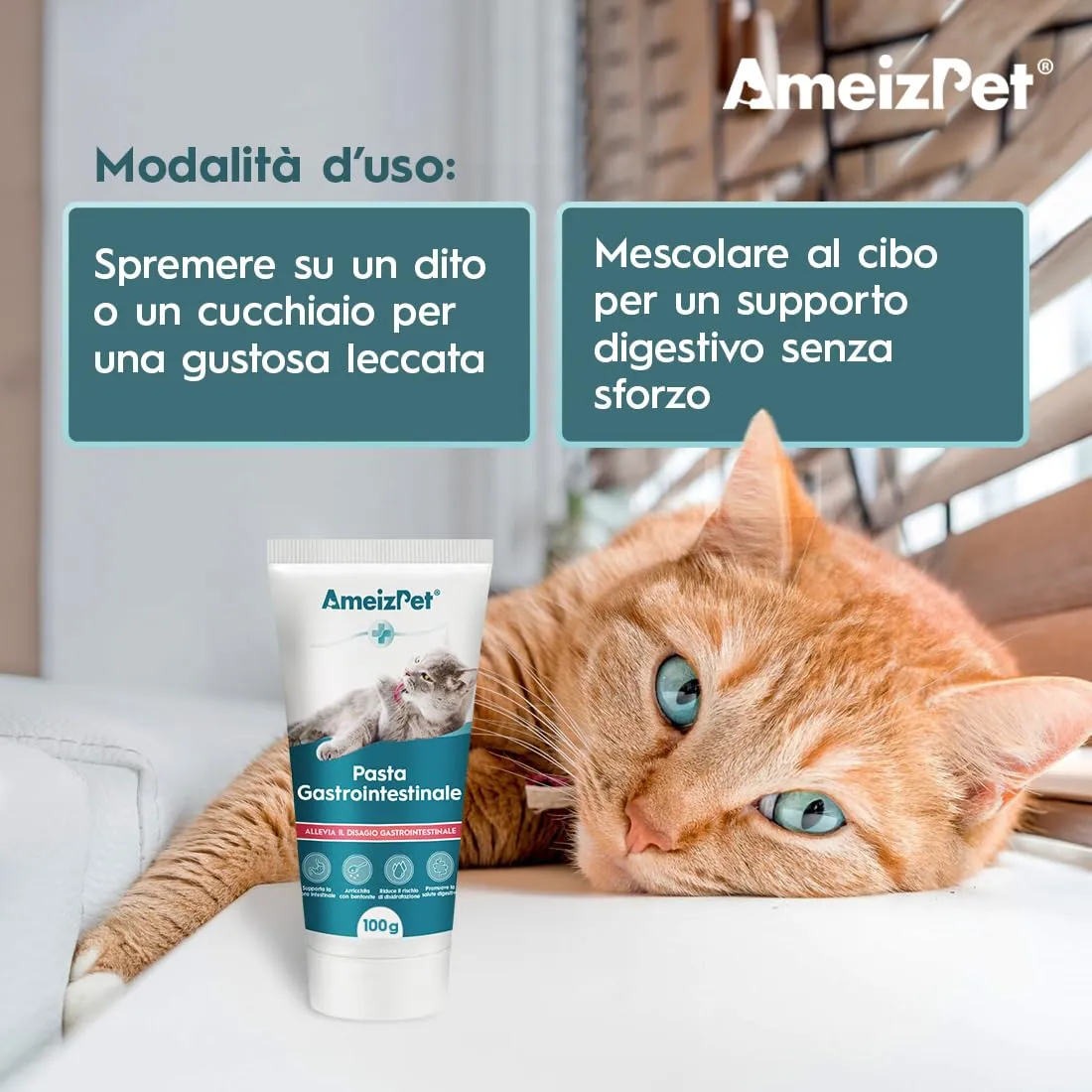 AmeizPet Pasta Digestiva per Gatti, Supporto Gastrointestinale, 100g - immagine 5