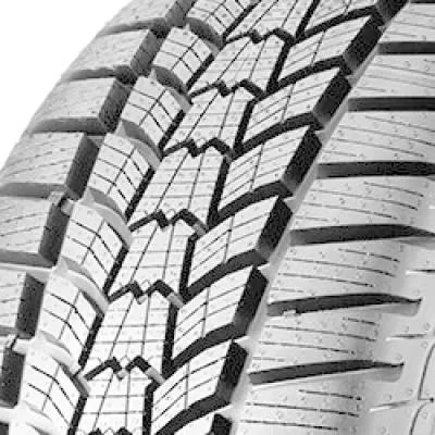Sava Eskimo HP2 205/55 R17 95V - immagine 1