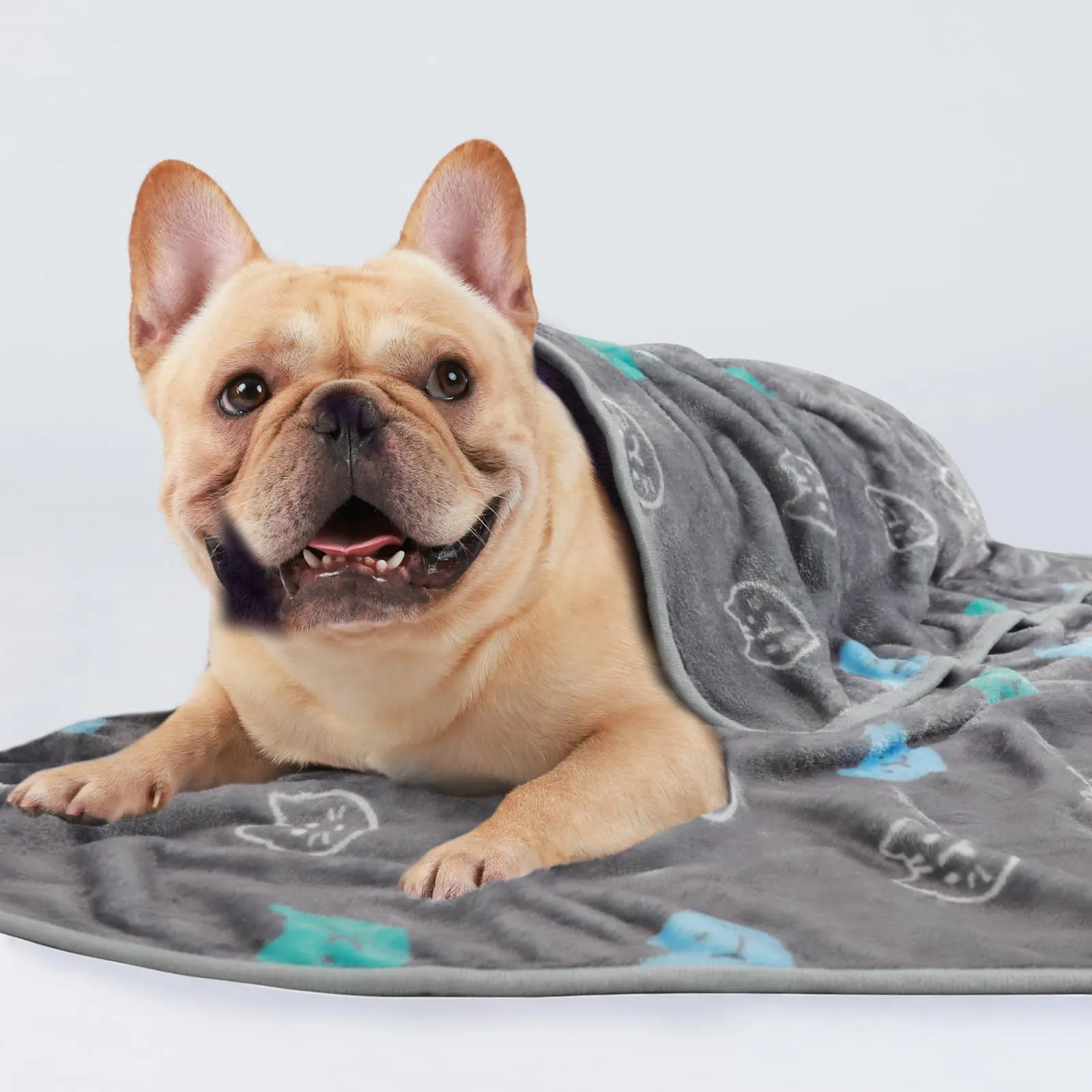luciphia 3 Pezzi Coperta per Cane/Gatto Lavabile Soffice Durevole, Morbida e Calda Flanella,Testa di gatto,Medium (76 * 52cm) - immagine 3